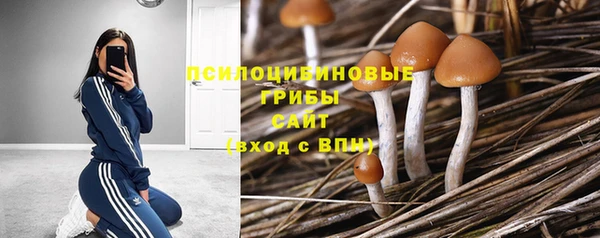 трава Алзамай