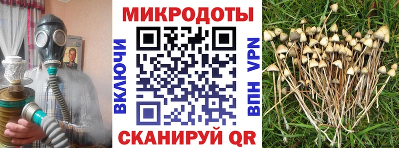 ОМГ ОМГ вход  Весьегонск  Галлюциногенные грибы Psilocybine cubensis 